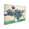 Trademark Fine Art Van Gogh 'Irises In A Vase' Canvas Art, 14x19 AA00894-C1419GG